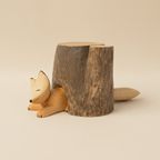 Fox with solid background